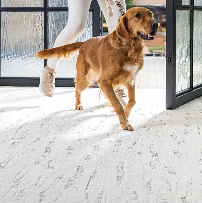 NWA Carpet flooring from Kings Flooring, Fayetteville